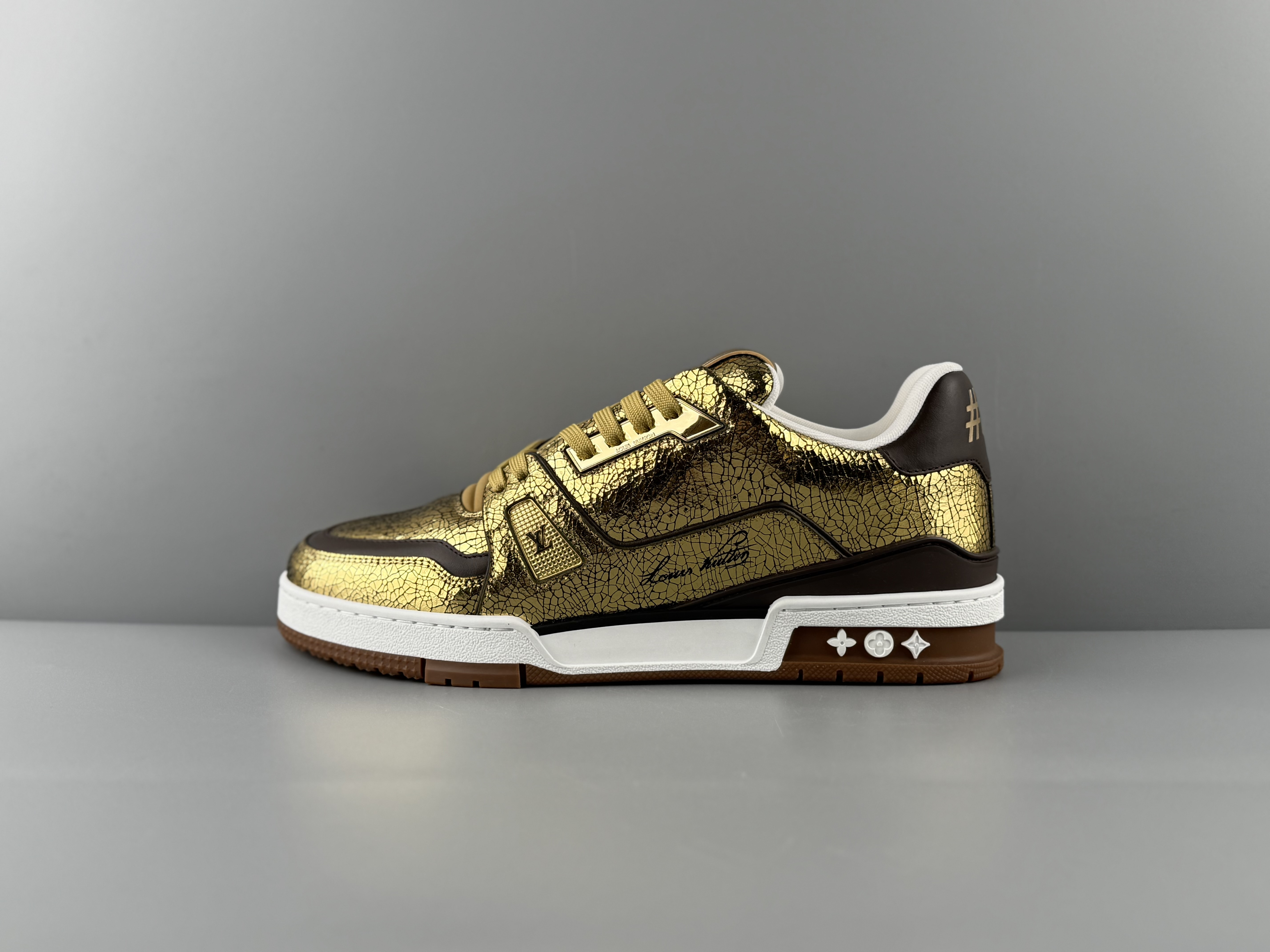 LV Trainer