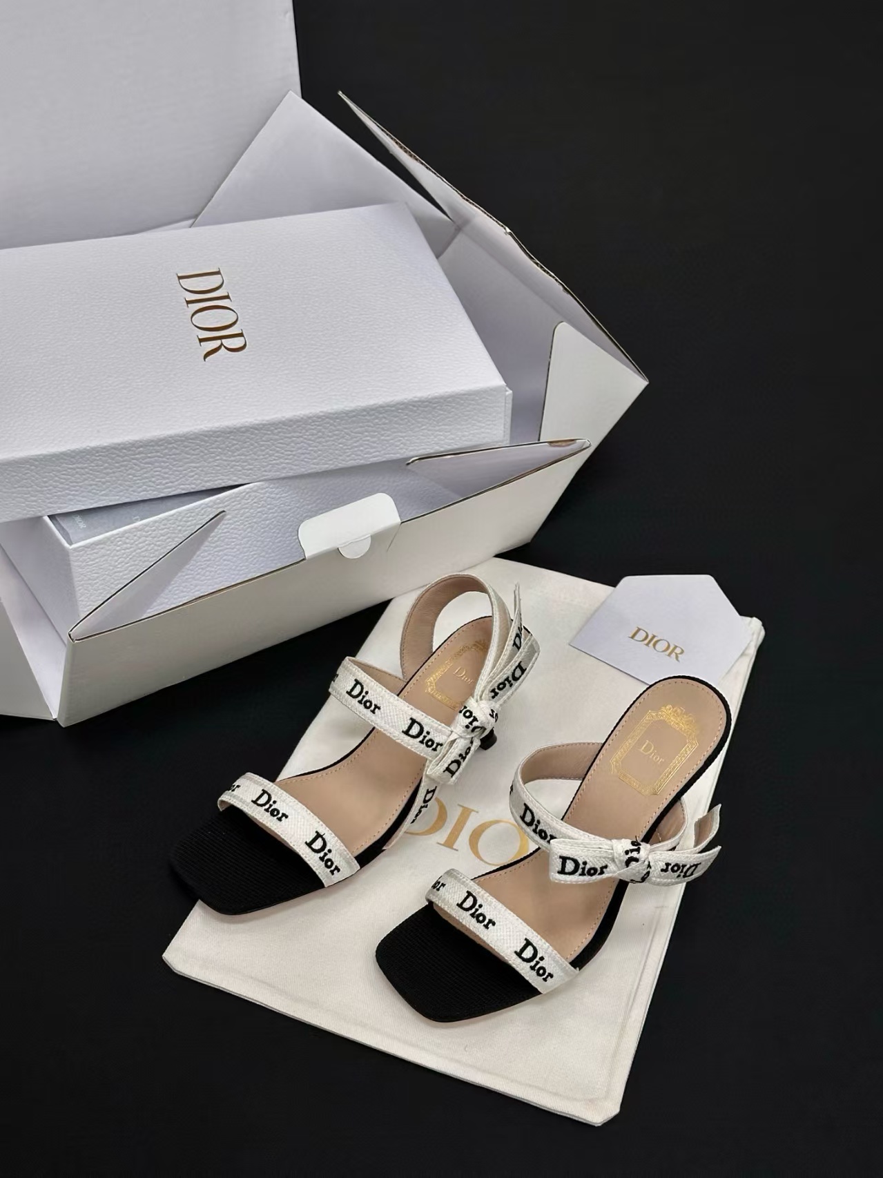 Dior Shoes