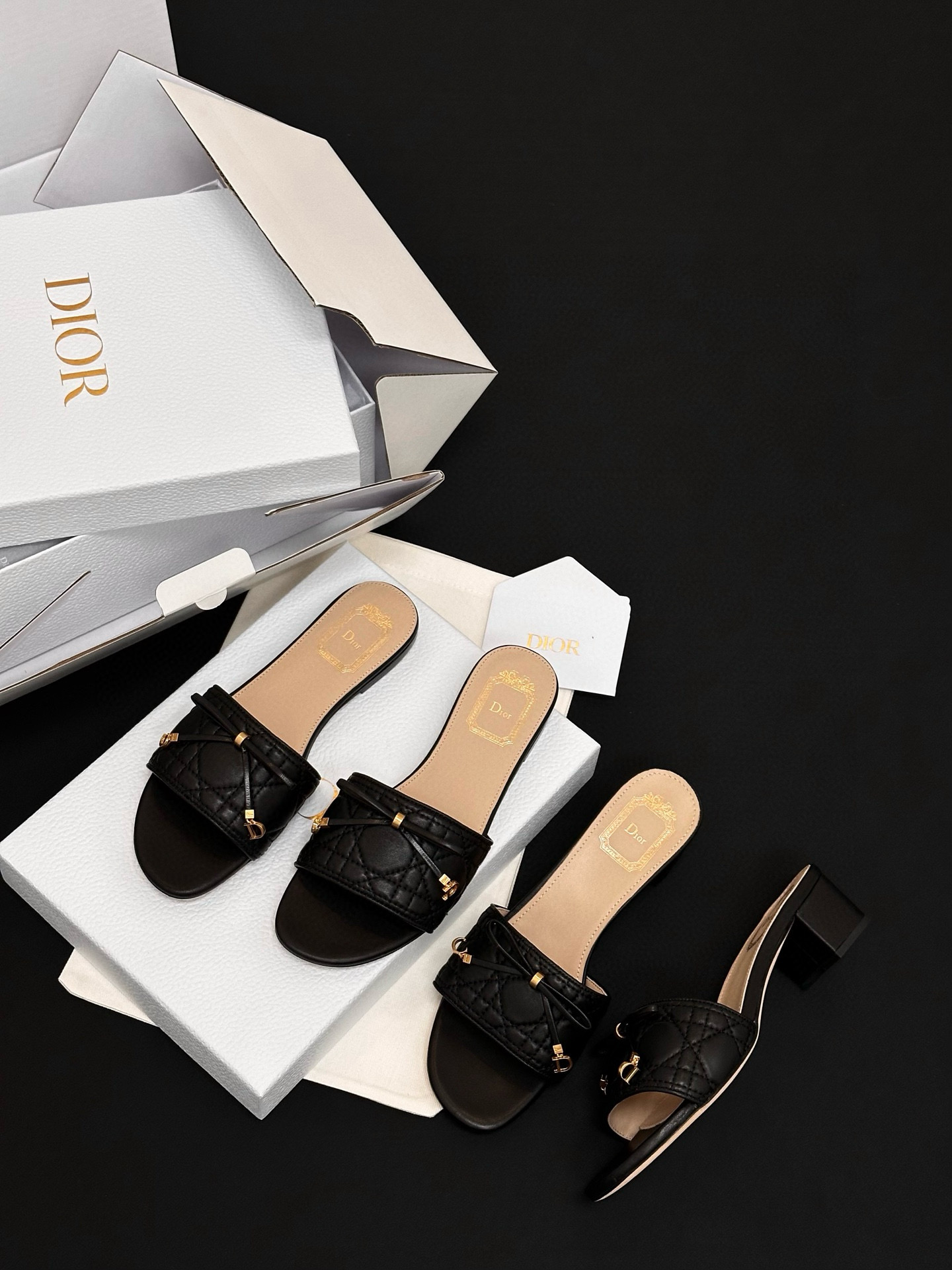 Dior Shoes