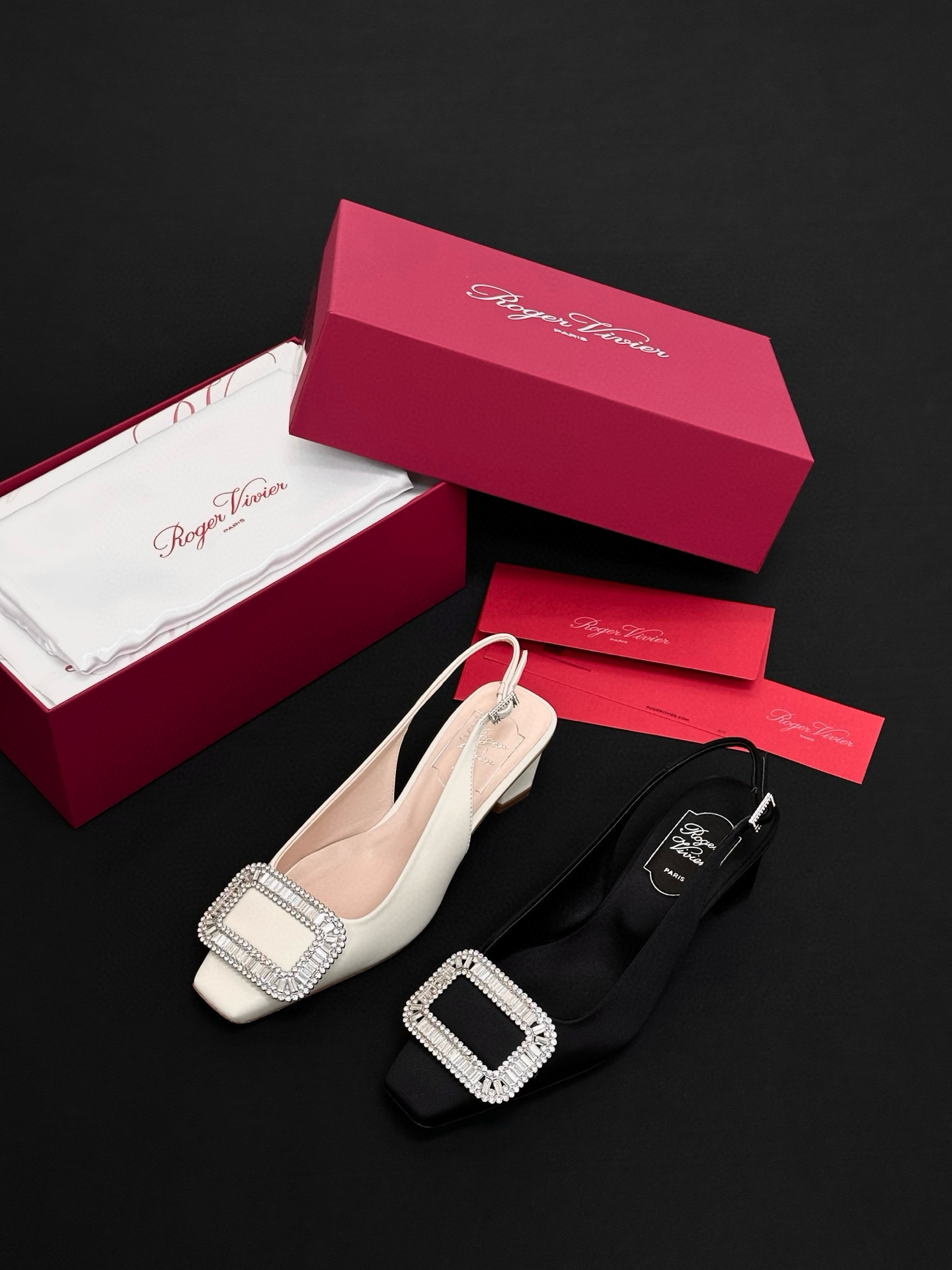 Roger Vivier Shoes