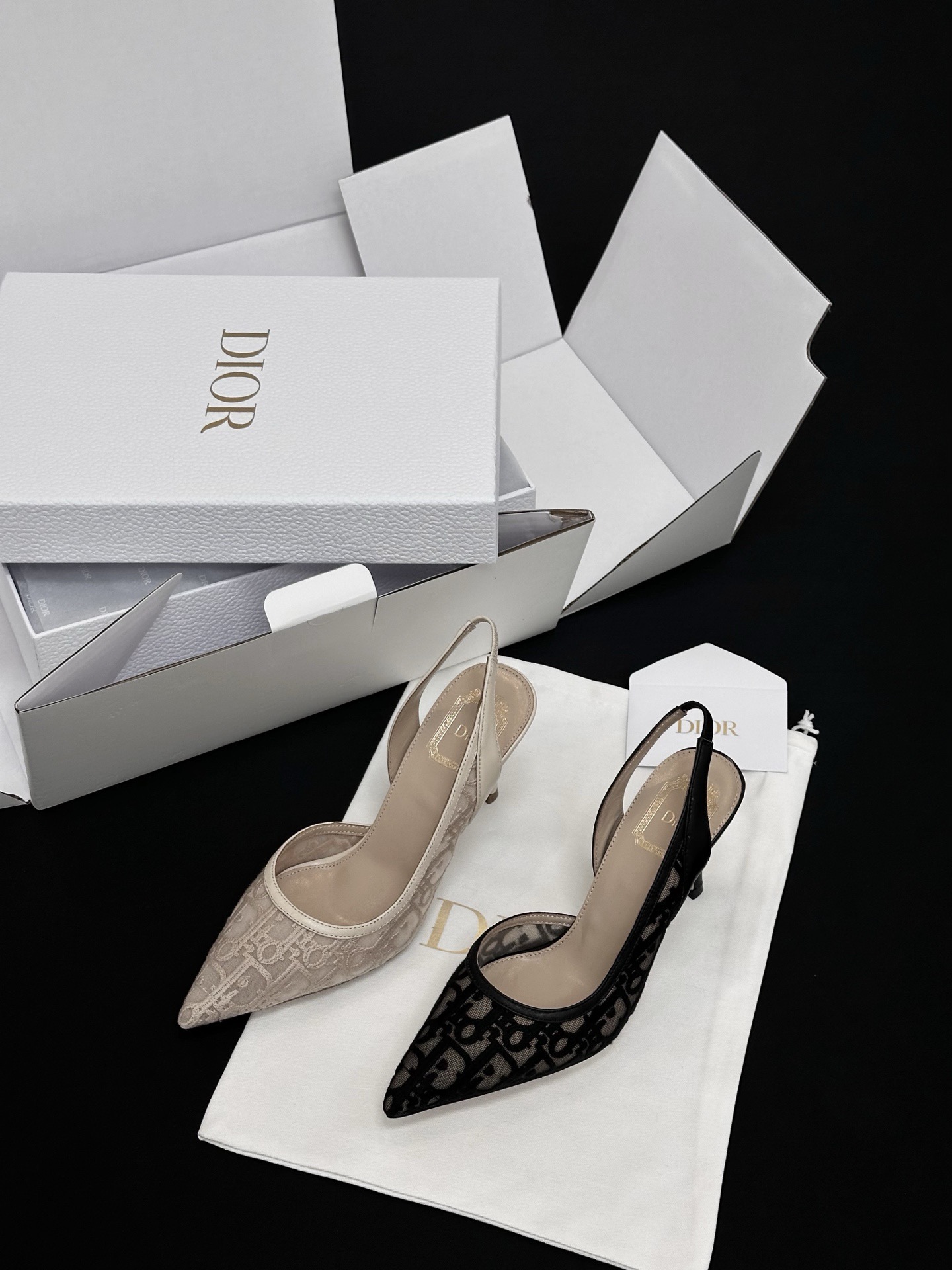 Dior Shoes