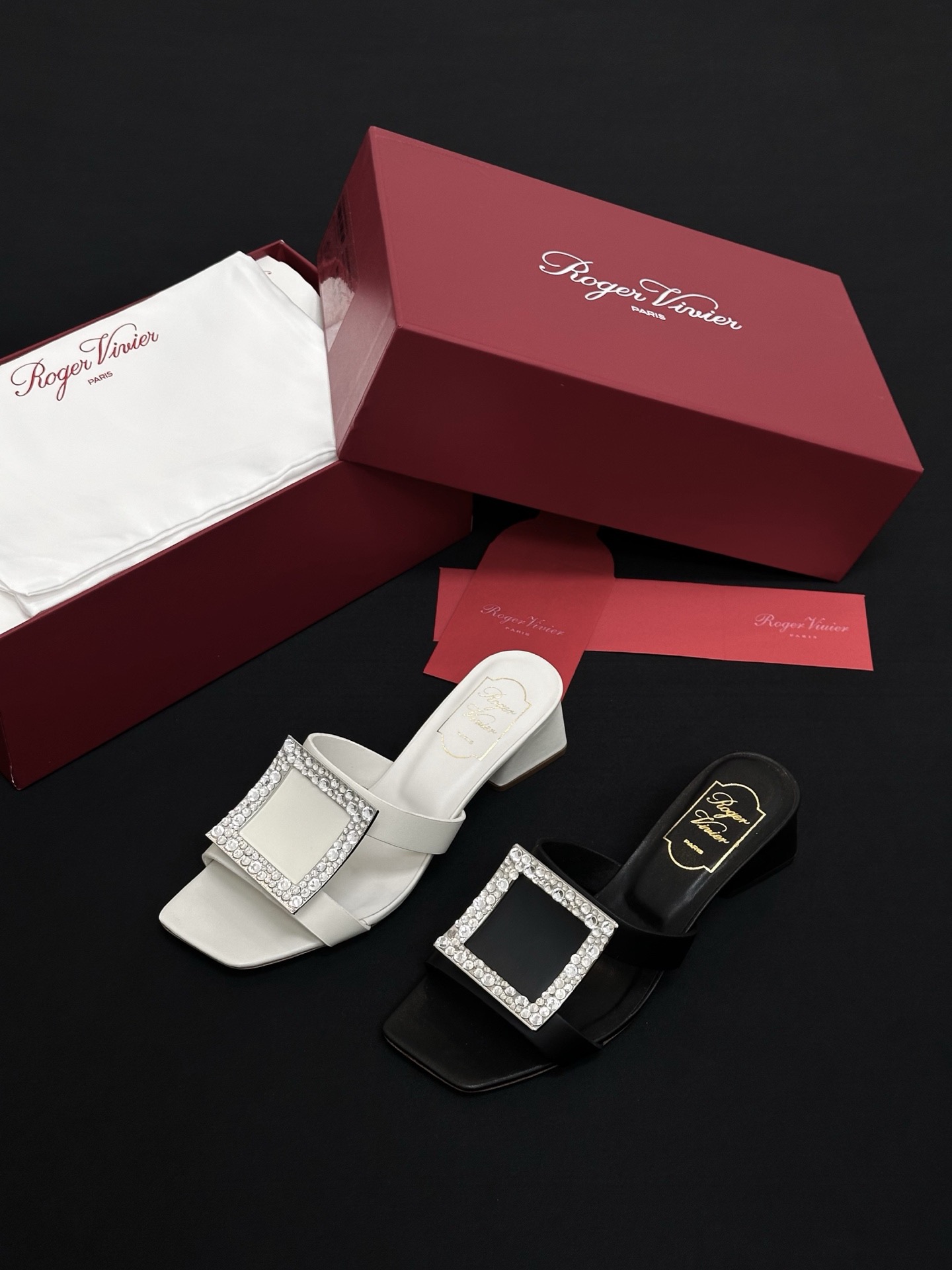 Roger Vivier Shoes  (5cm)